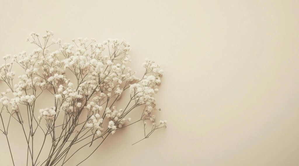 delicate white flowers arranged on a soft pastel background in a serene indoor setting free photo