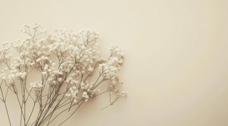 delicate white flowers arranged on a soft pastel background in a serene indoor setting free photo